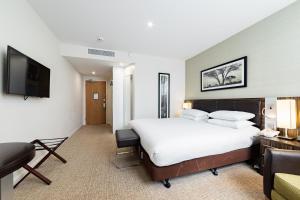 温彻斯特假日温切斯特酒店的配有一张床和一台平面电视的酒店客房
