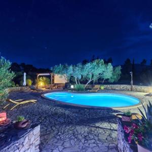 斯塔里格勒欧科萨梦幻别墅的夜间在院子里的游泳池