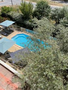 布克贝莱尔基里亚德埃克斯米勒普兰加巴尼酒店的享有带遮阳伞和树木的游泳池的顶部景致