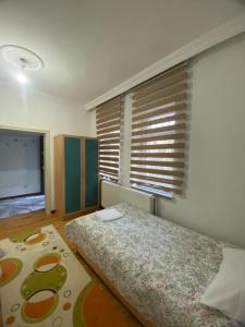 内夫谢希尔Budak Home的一间卧室设有一张床和一个大窗户