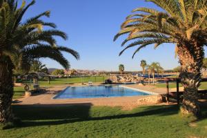 Kibbutz Lotan Eco-Campus的棕榈树公园内的游泳池
