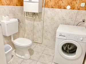 萨格勒布Mlinovi的一间带卫生间和洗衣机的浴室