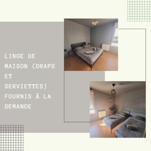图卢兹Bel appartement contemporain proche des commodités的两张照片,一张房间配有一张床和一张沙发