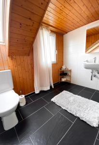 Apartment Romanshorn von Swisspartments的一间浴室