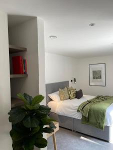 伦敦Brand new 3-bedroom home in London的一间卧室,里面装有床和植物