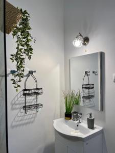 锡比乌Chic Home的浴室设有水槽、镜子和植物