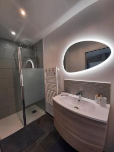 圣马洛Le Cottage du Bois Flotté的浴室配有盥洗盆和带镜子的淋浴