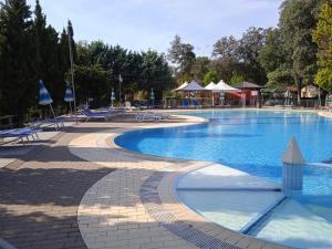 维亚雷焦Mobile home Comfort Viareggio - Including airco -Camping Paradiso- R028的一个带椅子和遮阳伞的大型游泳池