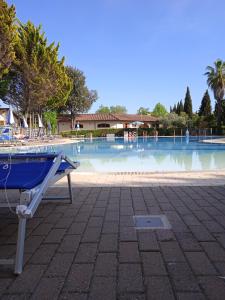 维亚雷焦Mobile home Comfort Viareggio - Camping Paradiso- R028的游泳池前的蓝色长椅