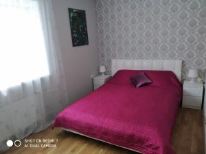 OlayneАппартаменты в центре Олайне для комфорта.的一间卧室配有一张带粉色毯子的床