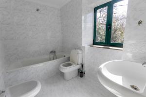 圣地亚哥－德孔波斯特拉Casa das Regueiras的白色的浴室设有卫生间和水槽。