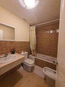 菲内斯特拉特Luxyry apartament Benidorm的一间带水槽、卫生间和淋浴的浴室