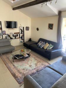 马赛可可普莱斯普拉吉维罗德罗姆别墅的客厅配有沙发和桌子