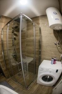 ČukaricaAPARTMAN TEA 3的浴室内带洗衣机的淋浴间