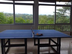 阿纳波伊马FINCA LA AMISTAD的带窗户的客房内的蓝色乒乓球桌