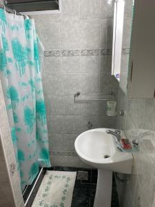 罗萨里奥CASA DEL NARANJO的一间带水槽和淋浴帘的浴室