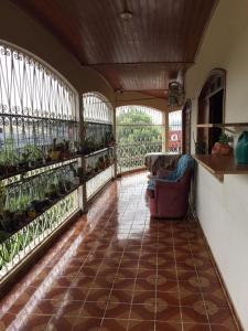 博阿维斯塔Hostel Roraima的阳台配有沙发和一些植物