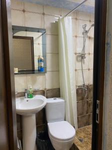 AreniLiViTi的浴室配有卫生间、盥洗盆和淋浴。