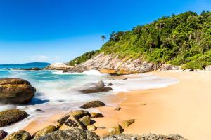 巴拉奈里奥-坎布里乌VEM para Balneario Camboriu na Praia do Estaleiro的一片拥有岩石和棕榈树的海滩