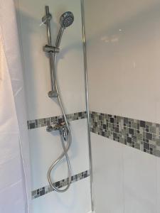 科尔温湾Pendle House Apartment 1的浴室内配有淋浴和头顶淋浴
