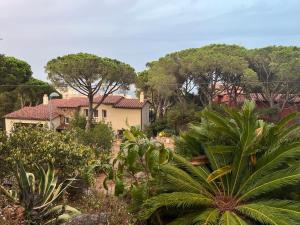 卡隆赫La casa Linda con terraza y vistas al mar的树林中间的房子