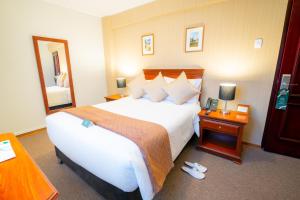 瓦拉斯El Tumi Hotel的配有一张大床和镜子的酒店客房