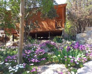 圣何塞德迈波Cabañas Lomas del Manzano的小屋前种有鲜花的花园