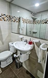 巴兰基亚Espectacular Penthouse dúplex bien equipado的一间带卫生间和水槽的浴室