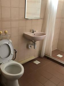新加坡Seaside Glamping@Heritage Chalet的一间带卫生间和水槽的浴室