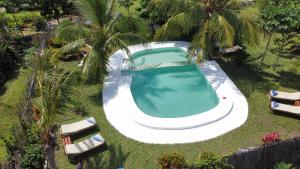 米查维Botanica Eco Lodge的享有庭院游泳池的顶部景色