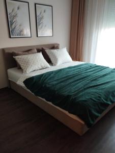 雅戈丁那Studio City day的一张带绿毯的床和窗户