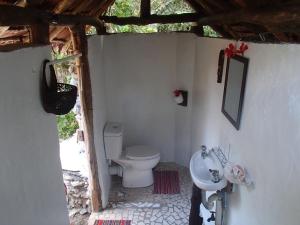 Moso IslandTranquility Island Eco Dive Resort的一间带卫生间和水槽的浴室