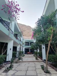 达哈布Dahab Bay hotel的一座种有树木和花卉的建筑的庭院