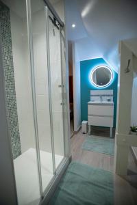 罗什科尔邦Chambre Jungle dans maison d'hote "Le Petit Clouet"- Rochecorbon的带淋浴和盥洗盆及镜子的浴室