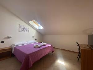里米尼Hotel Dream的一间卧室配有一张带紫色毯子的床