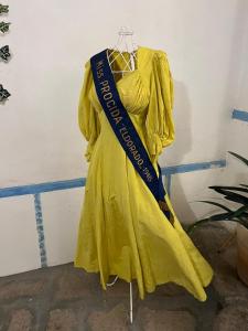 普罗奇达Palazzo Porta的挂在挂架上的黄色连衣裙,带蓝色的带子