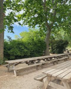 马赛Auberge de Jeunesse HI Marseille Bois-Luzy的公园里树下木凳