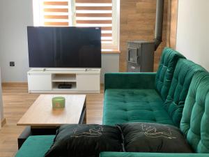 卡缅纳古拉Czarny Koń „Black Horse”的客厅配有绿色沙发和电视