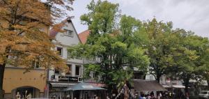 弗里德贝格Stylische 2-Zimmer Wohnung - Balkon - Parkplatz - Smart TV - Arbeitsplatz的一条树木繁茂的街道和一座白色的建筑