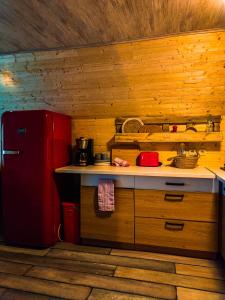 加诺维采威尔基耶Leśny Dwór的厨房设有红色冰箱和木墙