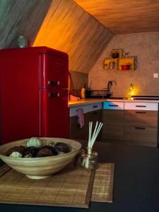 加诺维采威尔基耶Leśny Dwór的厨房配有红色冰箱和一碗食物