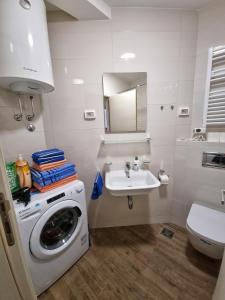 波德戈里察Riverside Apartment的一间带洗衣机和水槽的浴室