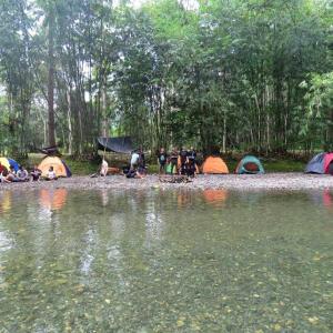 武吉拉旺Bukit Lawang Glamping & Jungle Trekking的一群人在水体旁边露营