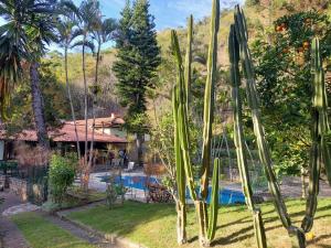 伊泰帕瓦Pousada Cozy House的一座带游泳池和棕榈树的房子
