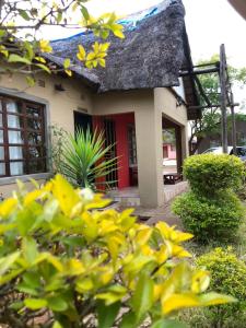 弗朗西斯敦Ntshe River Lodge的一座小房子,有红色的门和黄色的花