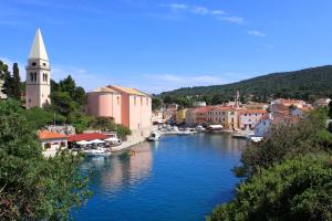 大洛希尼Apartments by the sea Veli Losinj, Losinj - 7959的教堂城镇里一条有船的河流