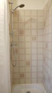 克雷泰伊VUE EXCEPTIONNELLE SUR LE LAC的带淋浴和浴缸及淋浴喷头的浴室