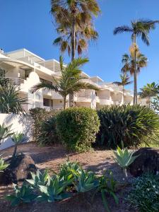 玛志洛卡马格海滨公寓的一座种植了棕榈树和植物的大型白色建筑
