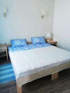 罗亚Piejūras apartamenti STEAMER的一间卧室配有一张带蓝色枕头的大床