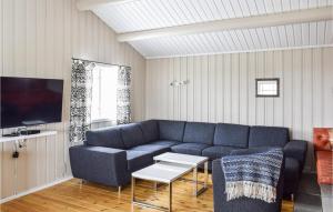 斯朱森Stunning Home In Sjusjen With House A Mountain View的客厅配有蓝色的沙发和电视